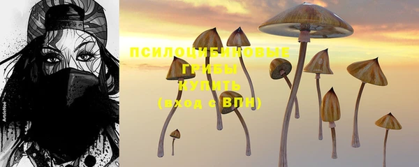 PSILOCYBIN Вязьма