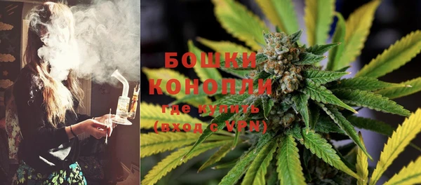 PSILOCYBIN Вязьма