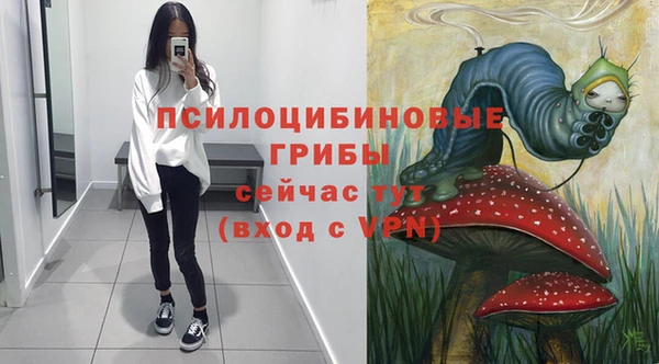 PSILOCYBIN Вязьма