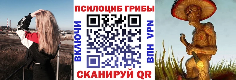 Купить закладки  Сасово  Псилоцибиновые грибы ЛСД 